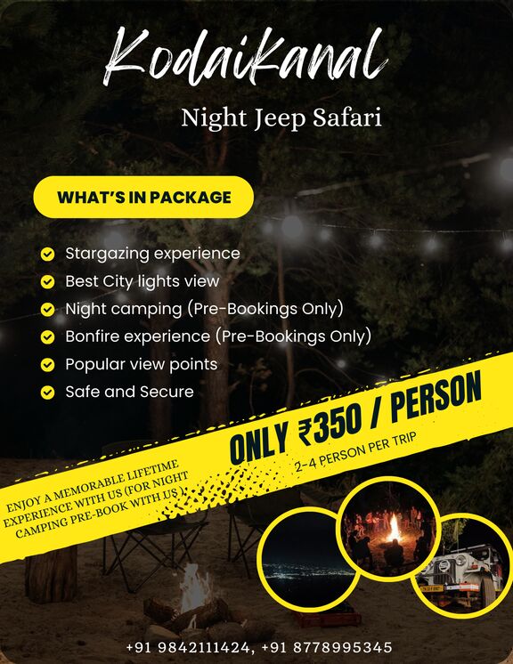 Kodaikanal Jeep Safari - Night Safari