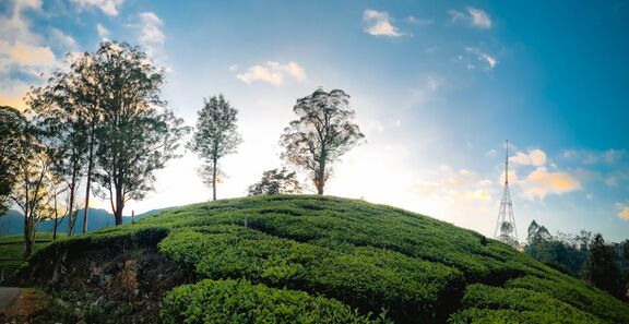 Kodaikanal to Munnar Jeep Safari Tour